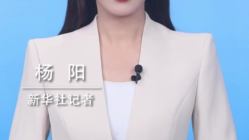 智慧解决方案定制：优缺点全面解析